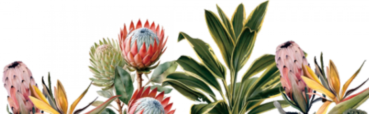 flamingo.webp